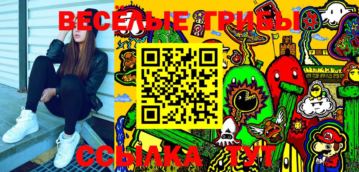 Псилоцибиновые грибы Psilocybe  Псилоцибиновые грибы Psilocybe  Вход с VPN  Электрогорск 